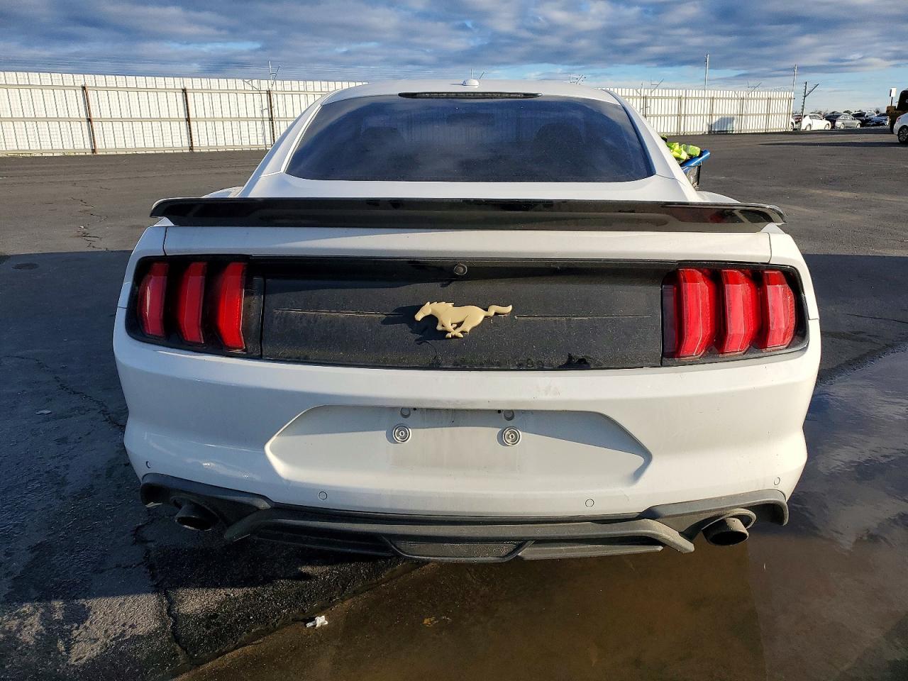 2019 FORD MUSTANG