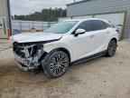 2024 LEXUS RX 350