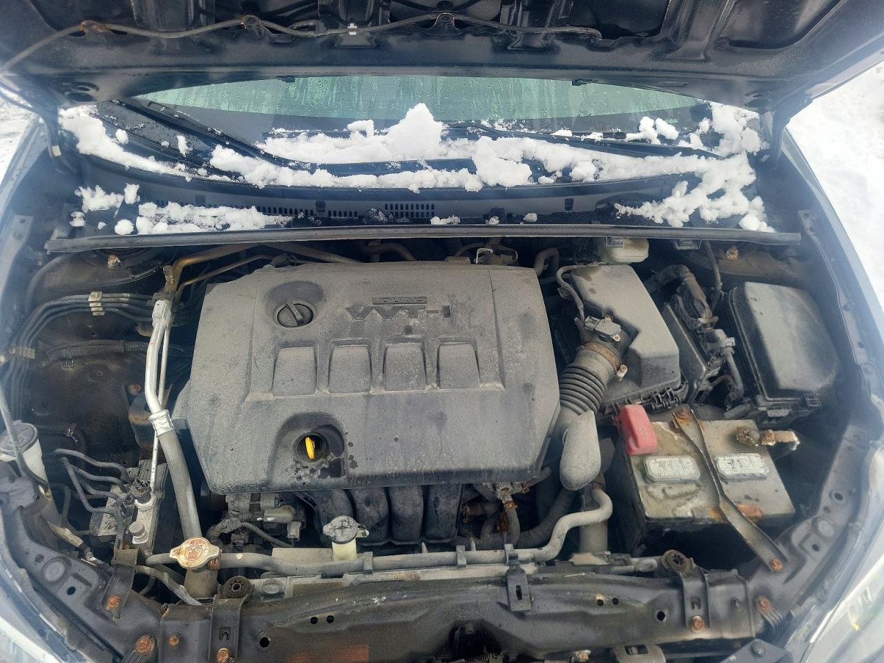2019 TOYOTA COROLLA