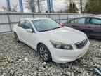 2010 HONDA ACCORD
