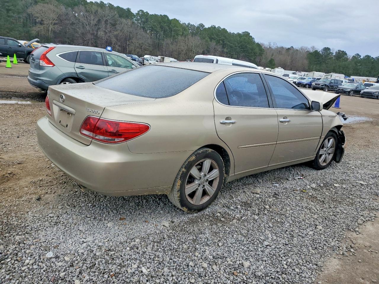 2005 LEXUS ES 330