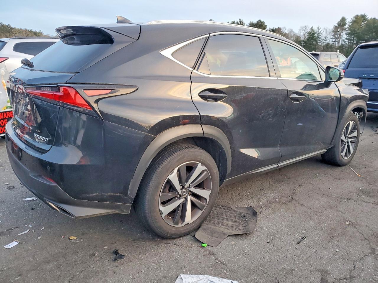 2018 LEXUS NX 300