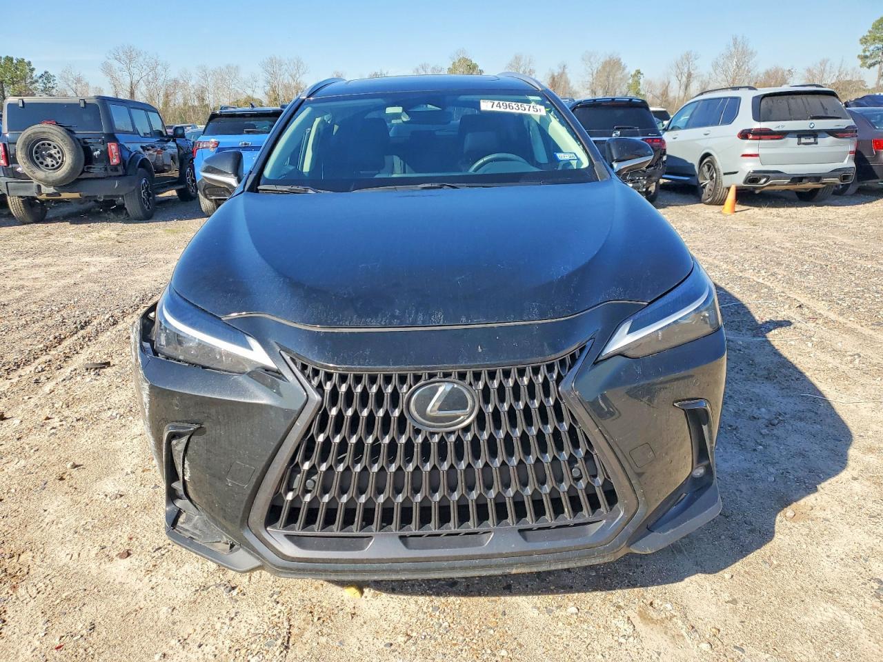 2025 LEXUS Nx