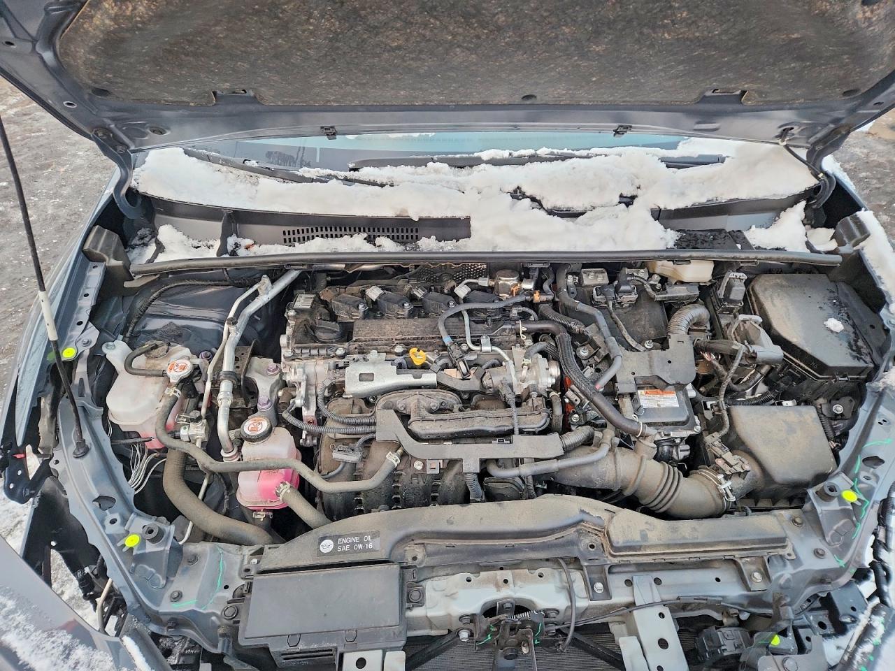 2024 TOYOTA PRIUS