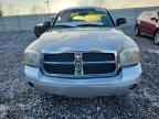 2005 DODGE Dakota