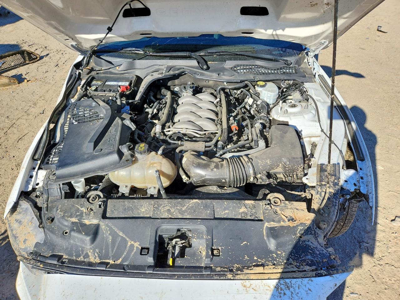 2019 FORD MUSTANG