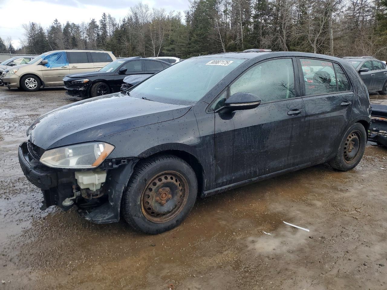 2017 VOLKSWAGEN GOLF