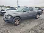 2011 DODGE Dakota