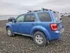2009 FORD ESCAPE
