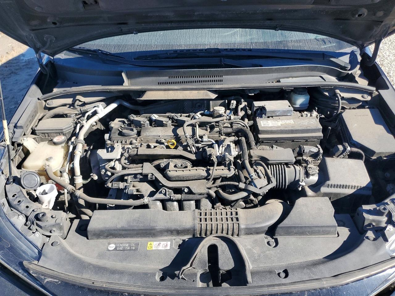 2019 TOYOTA COROLLA