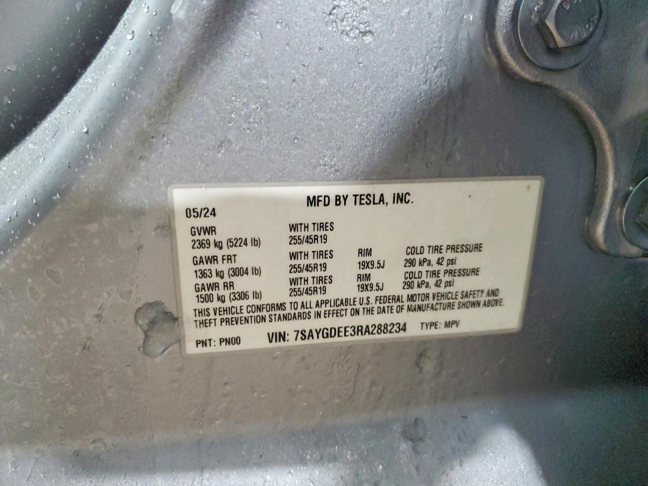 2024 TESLA MODEL Y