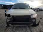 2006 FORD ESCAPE
