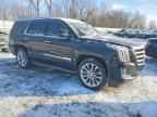2019 CADILLAC ESCALADE
