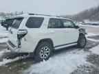 2024 TOYOTA 4Runner