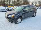 2007 HONDA CR-V