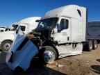 2019 FREIGHTLINER Cascaia126