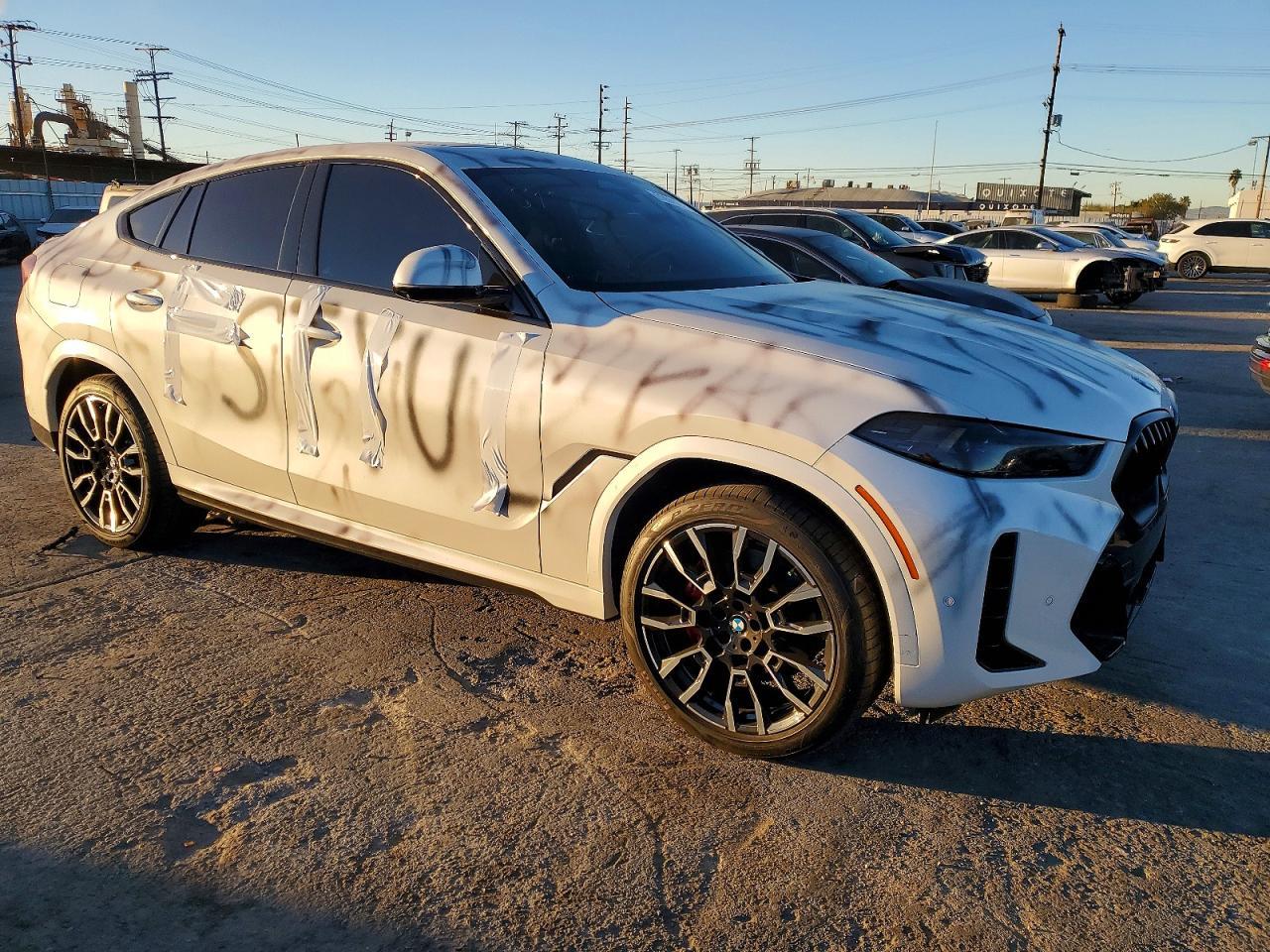 2024 BMW X6