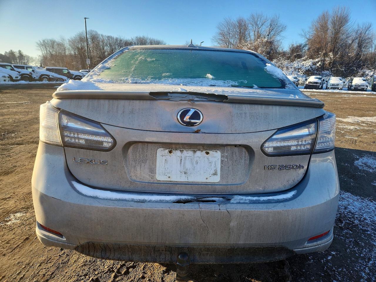 2010 LEXUS HS 250h