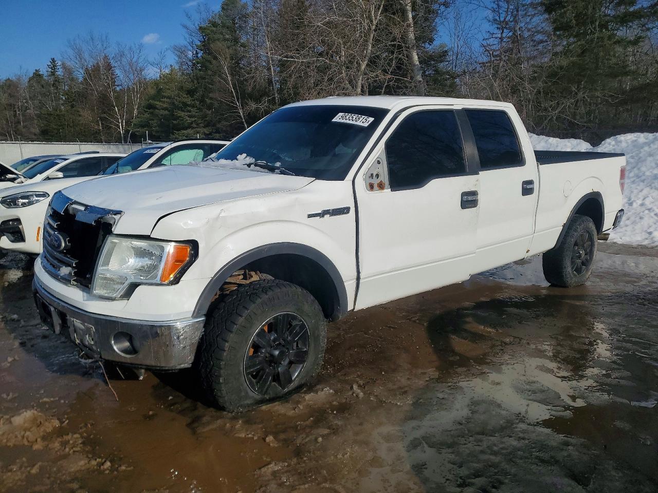 2009 FORD F-150