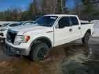 2009 FORD F-150