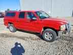 2007 DODGE Dakota