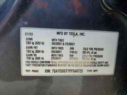 2023 TESLA MODEL Y