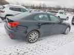2010 LEXUS IS 250