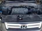 2007 HONDA PILOT