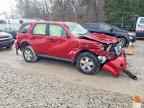 2009 FORD ESCAPE
