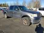 2006 FORD F-150