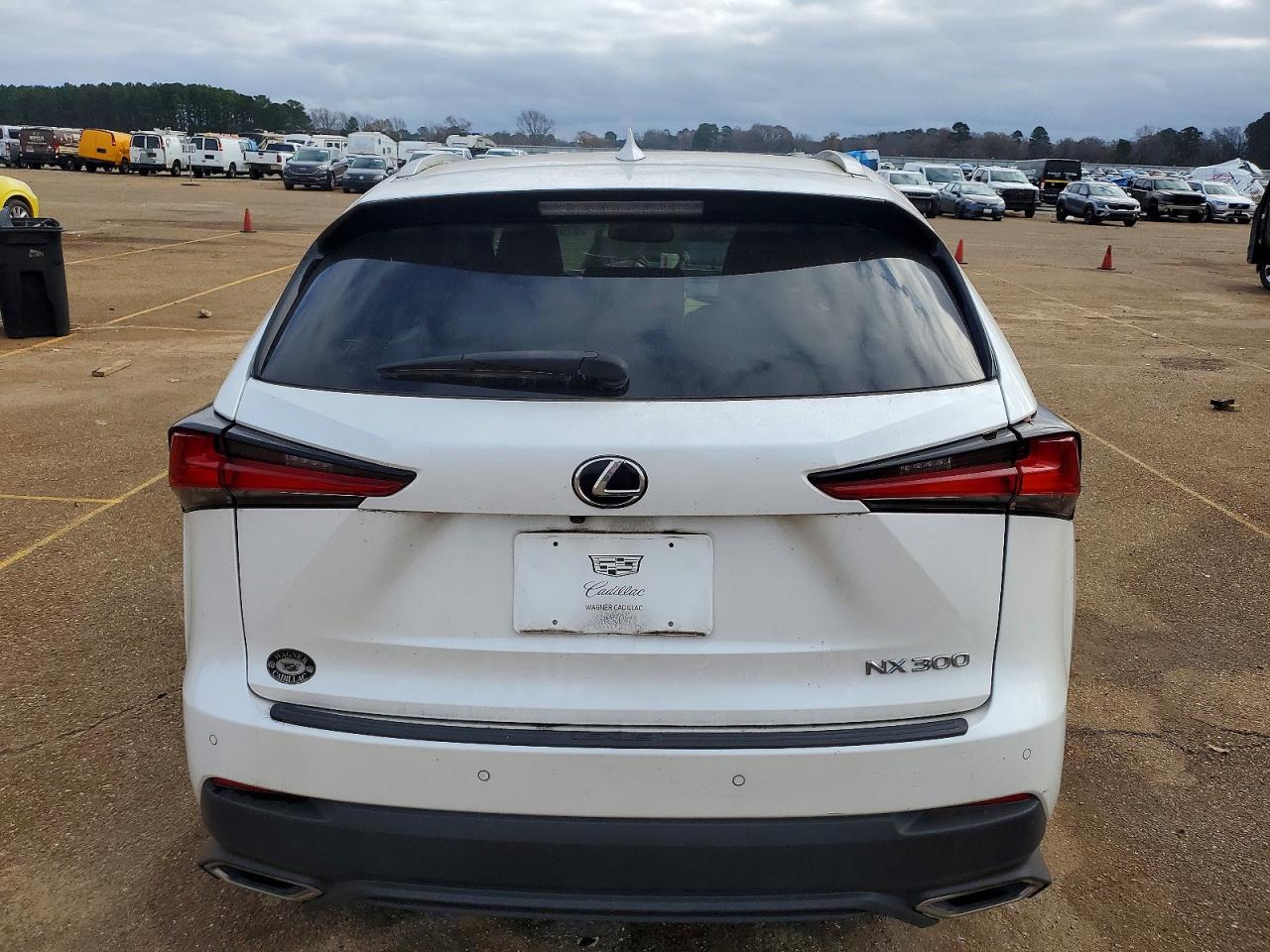 2019 LEXUS NX 300