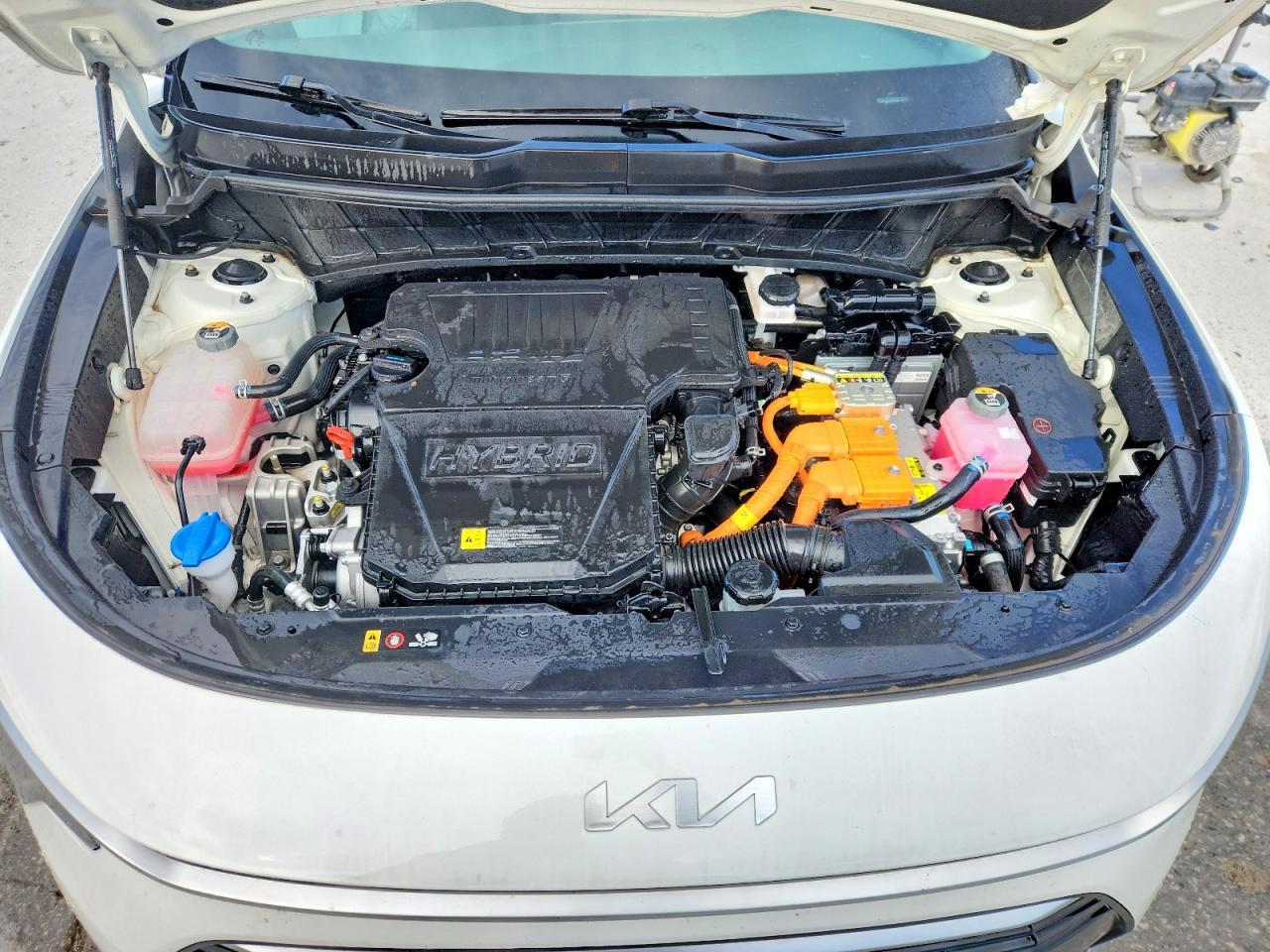 2024 KIA Niro