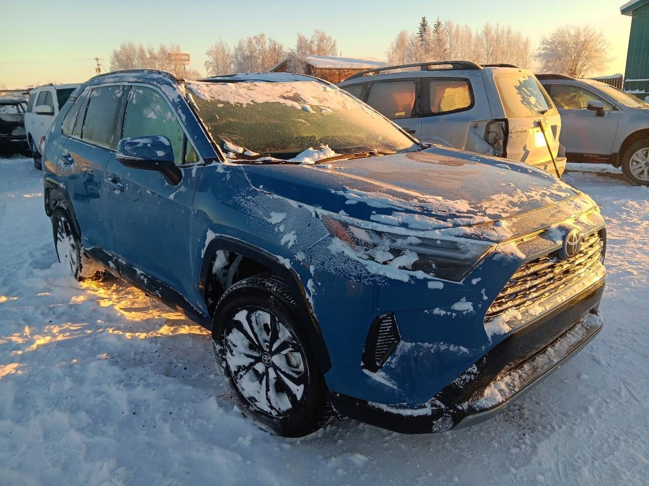 2025 TOYOTA RAV4