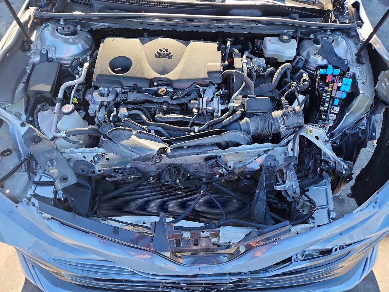 2019 TOYOTA Avalon