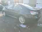 2010 LEXUS HS 250h