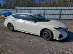 2023 NISSAN Maxima