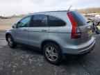 2010 HONDA CR-V