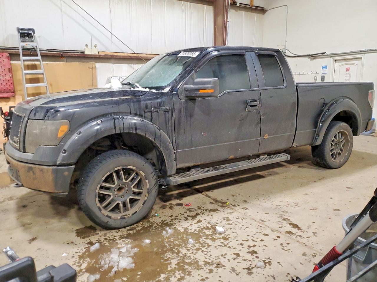 2009 FORD F-150