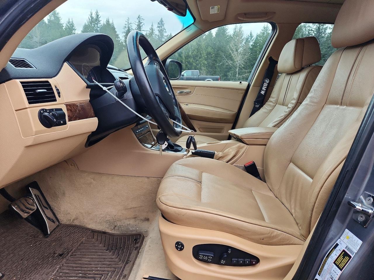 2010 BMW X3
