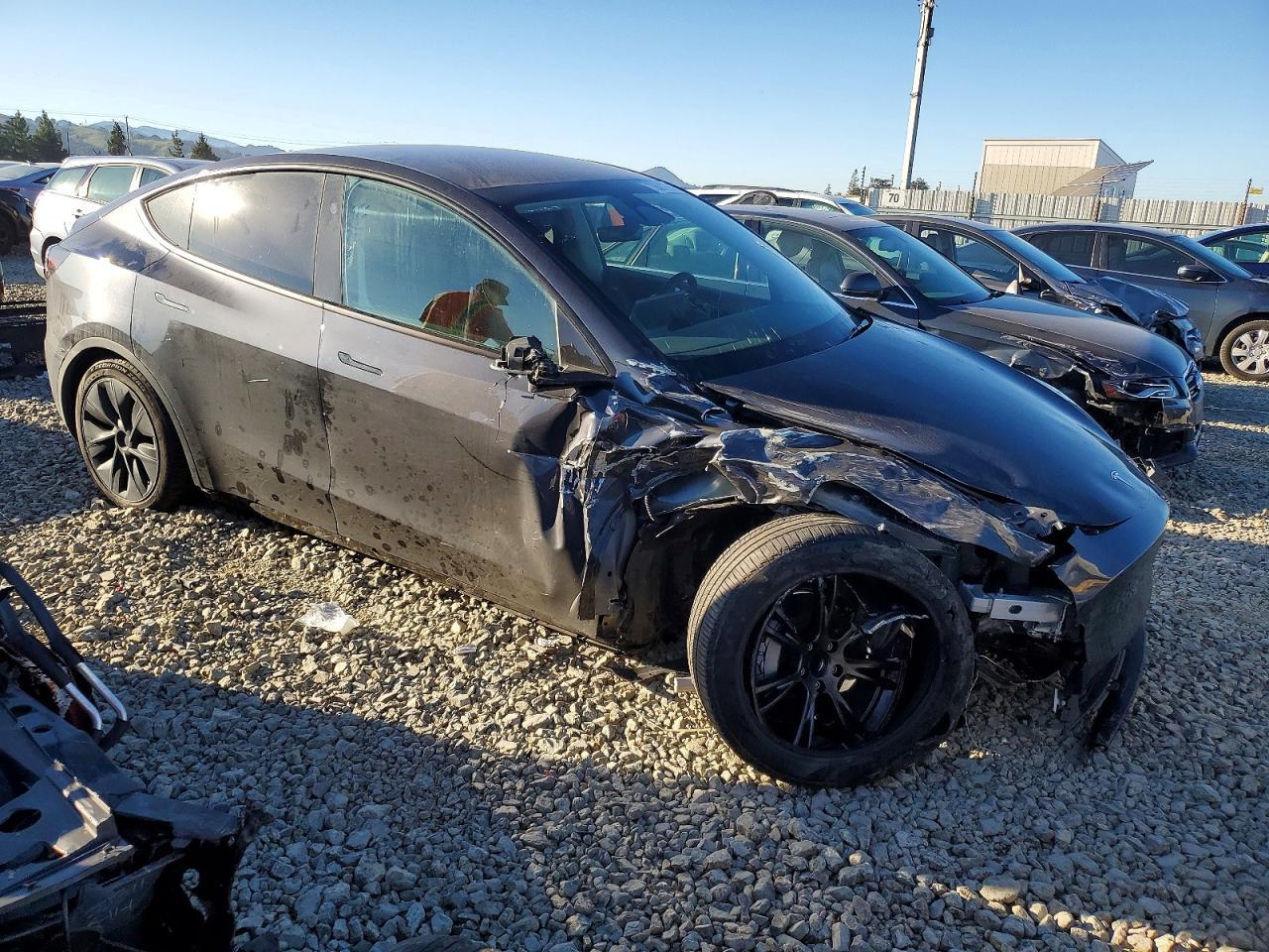 2025 TESLA MODEL Y