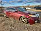 2010 ACURA TL