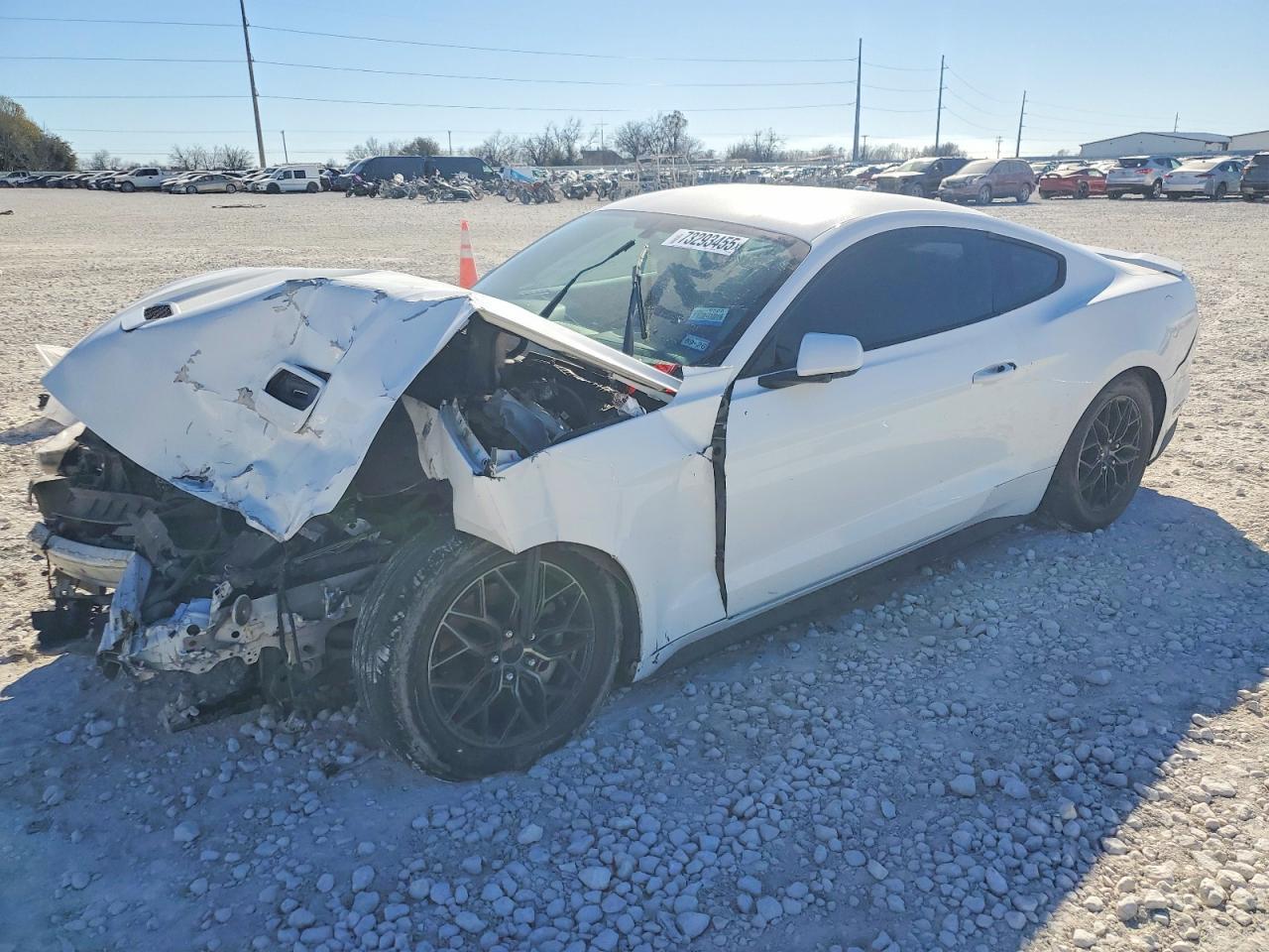 2019 FORD MUSTANG