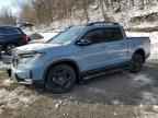 2024 HONDA Ridgeline