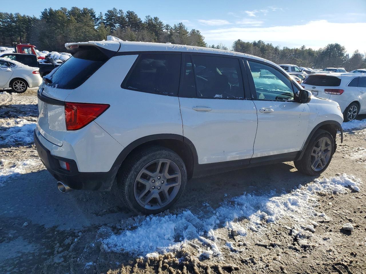 2023 HONDA Passport