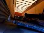 2011 Gdan Trailer