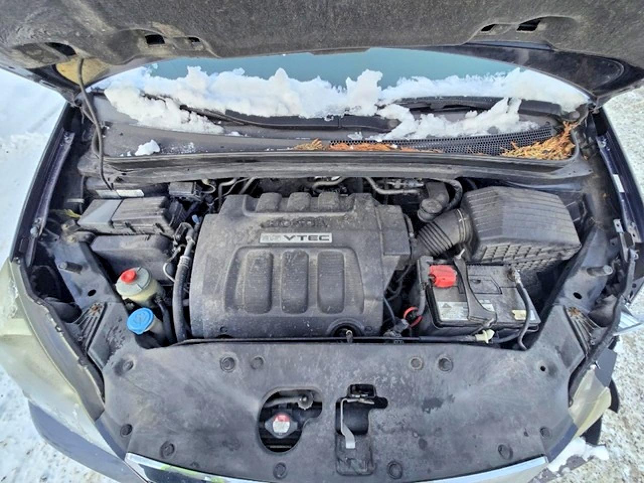 2005 HONDA ODYSSEY