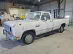 1984 DODGE D-Series