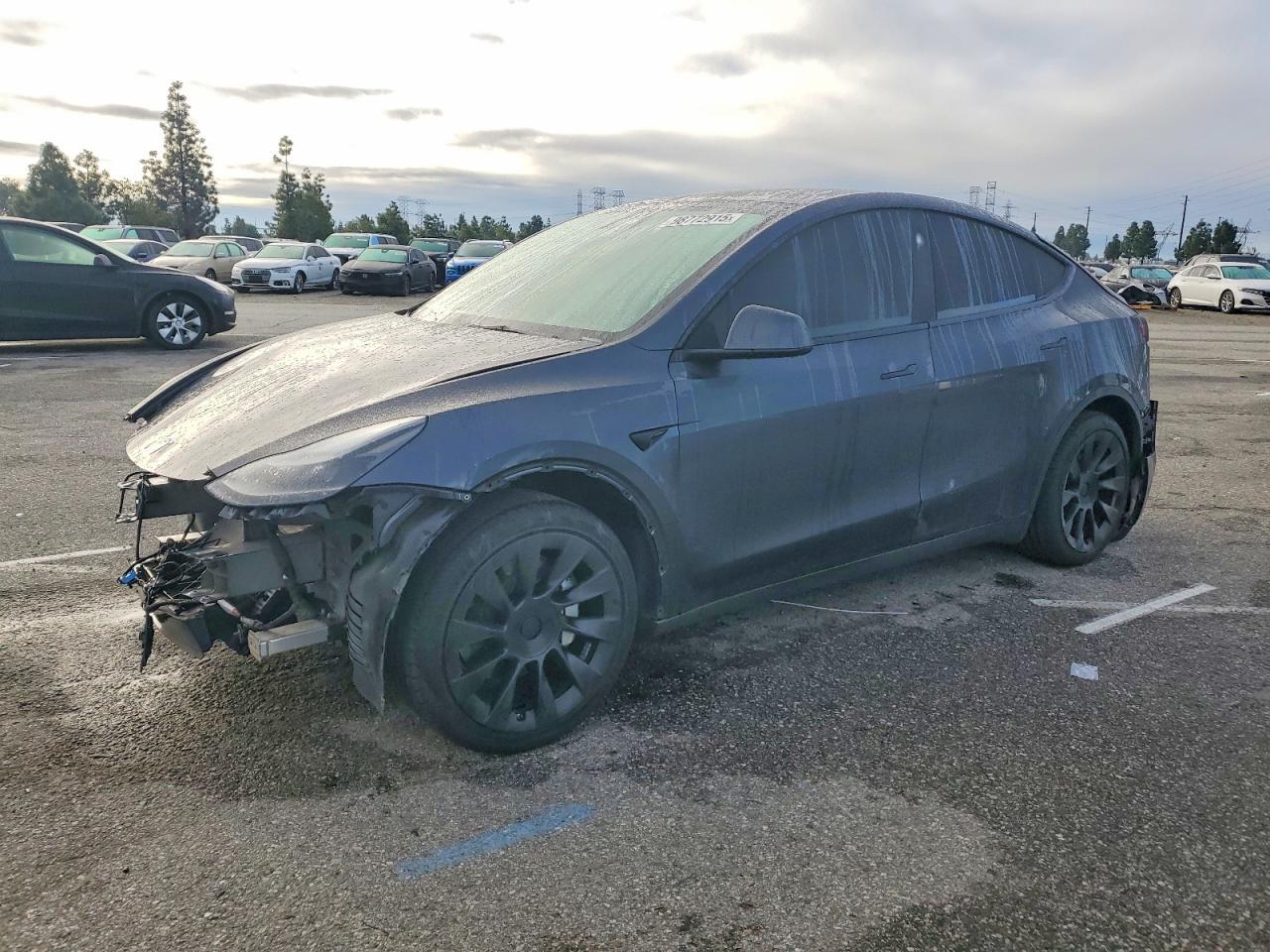 2024 TESLA MODEL Y