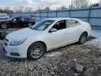 2013 CHEVROLET MALIBU
