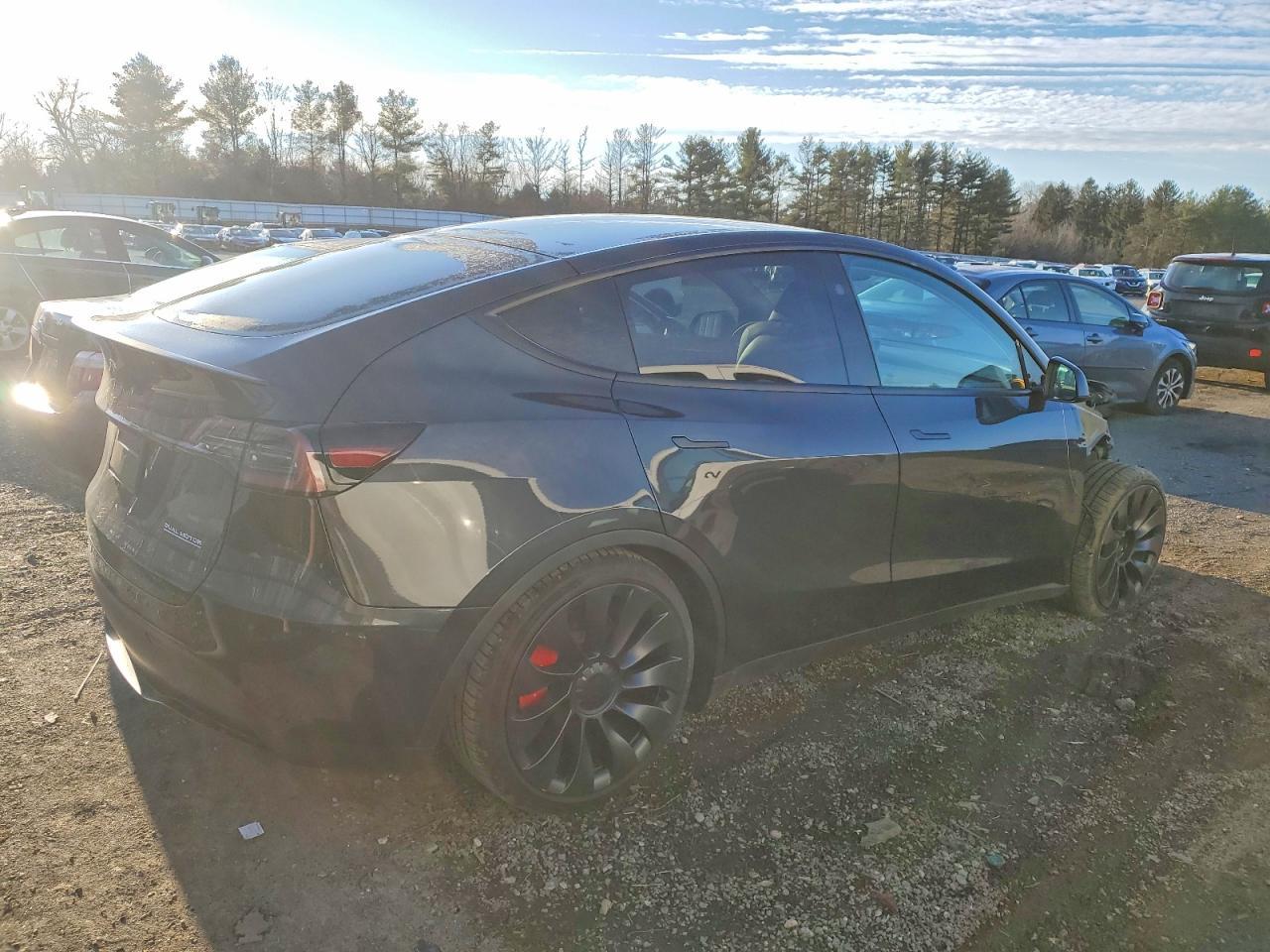 2024 TESLA MODEL Y